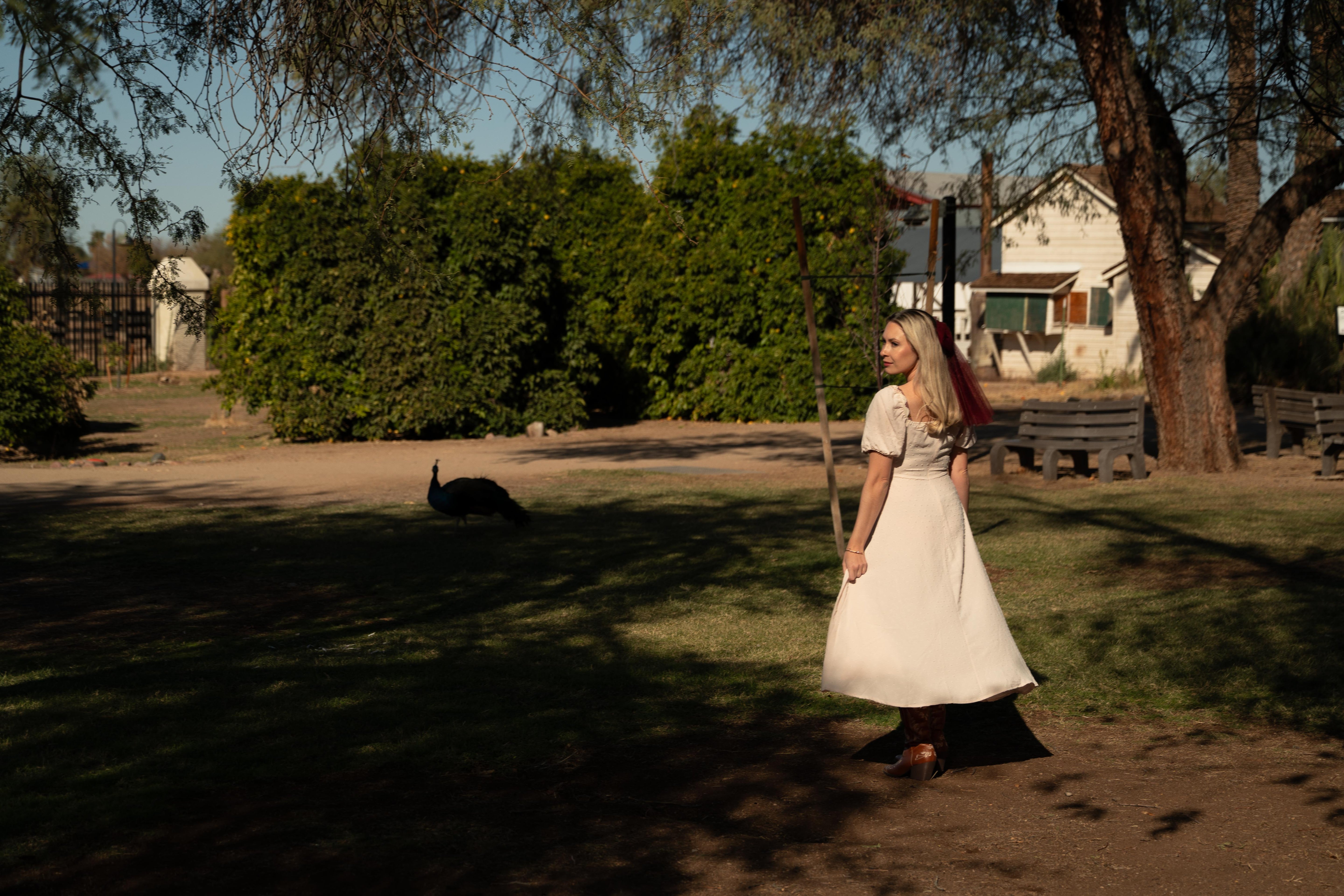 Coquette Collection: The Madame