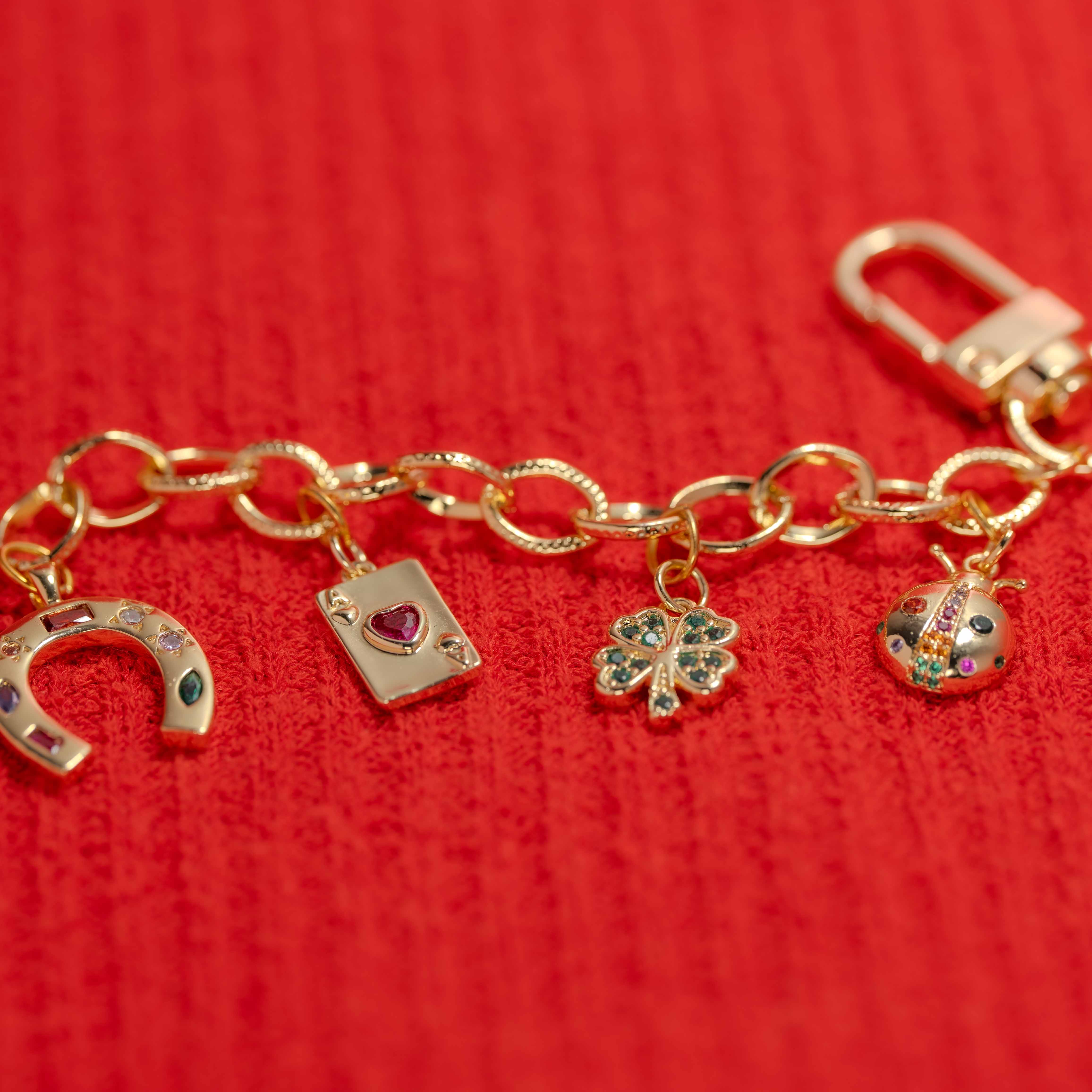 Fortune Bag Charm Accent