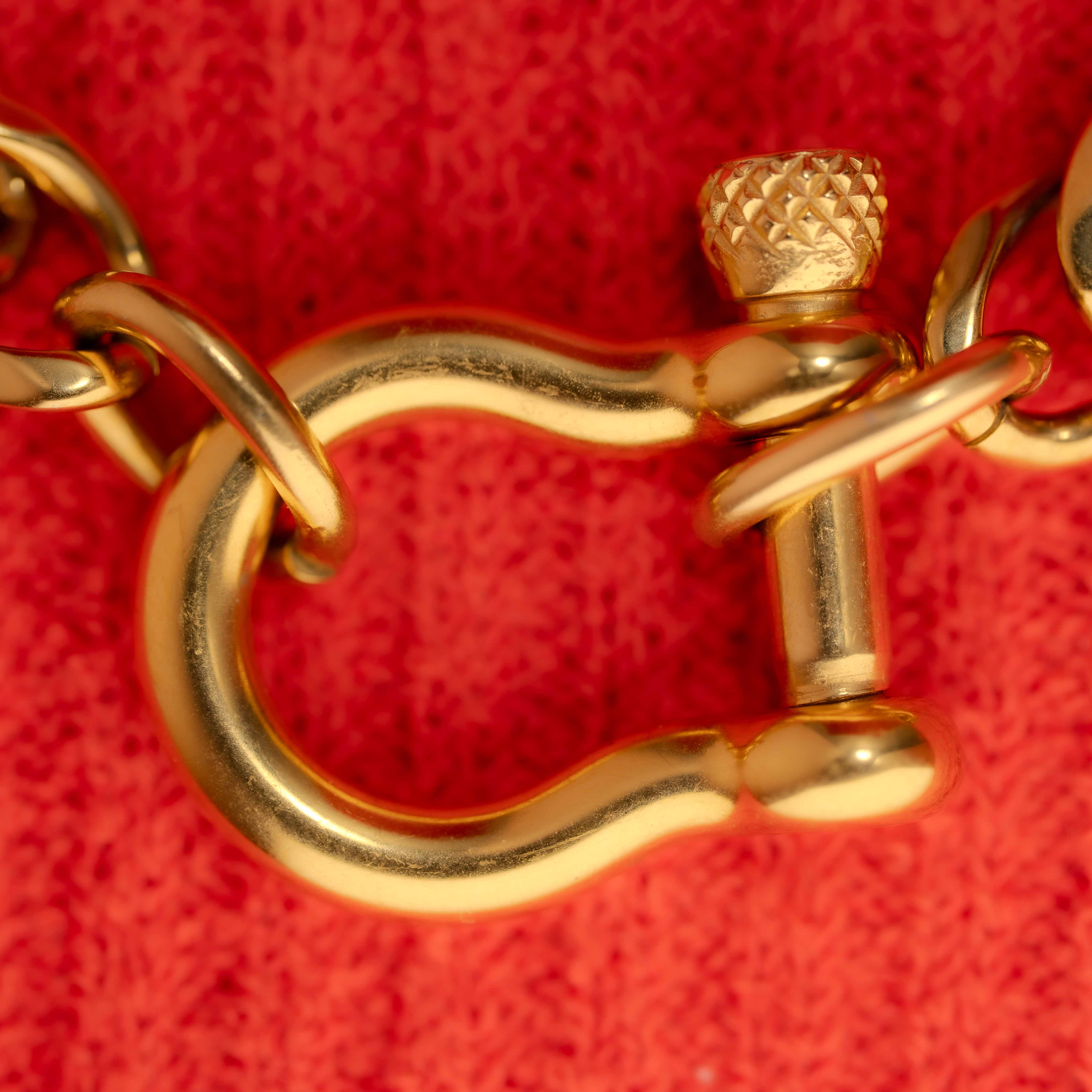 Chance Luxe Equestrian Necklace